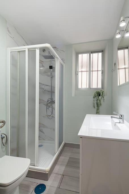 Apartamento Gran Piso En El Centro Historico